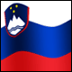 3D Slovenia Flag