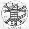 DaVinci cat